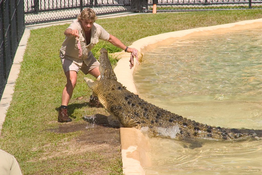 Steve Irwin’s final moments revealed as he sought one last shot before fatal accident