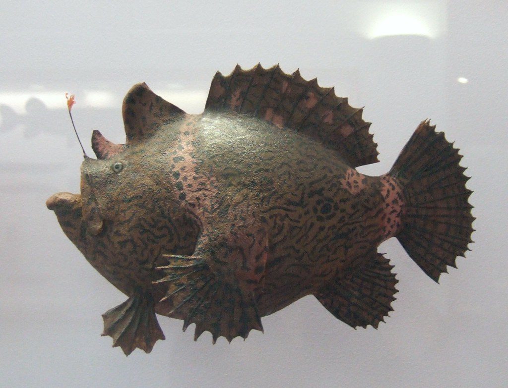 These remarkable sharks surprised researchers with their existence