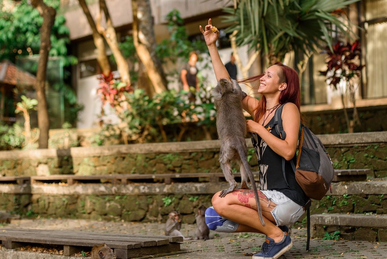 bali, indonesia, monkey, park, beggar, steals, man, nature, girl, sitting, tourist, feeds, bali, bali, beggar, beggar, beggar, beggar, beggar