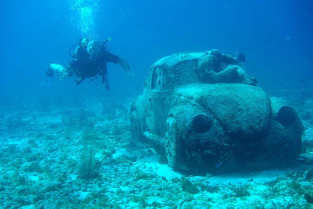 6 incredible ocean wonders you have to see to believe