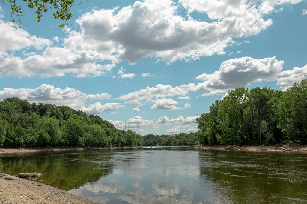 green trees beside river under blue sky and white clouds during daytime