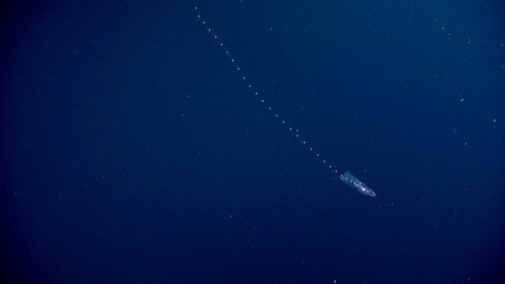 Terrifying sea creatures that are even more unsettling than sharks