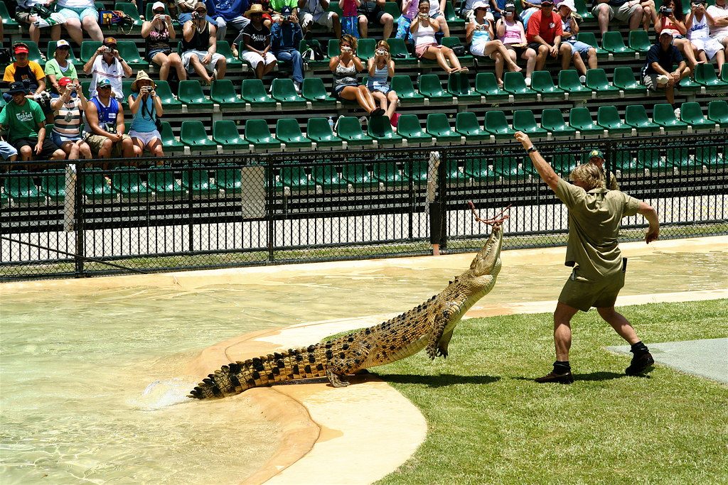 What really happened during Steve Irwin’s final dive?