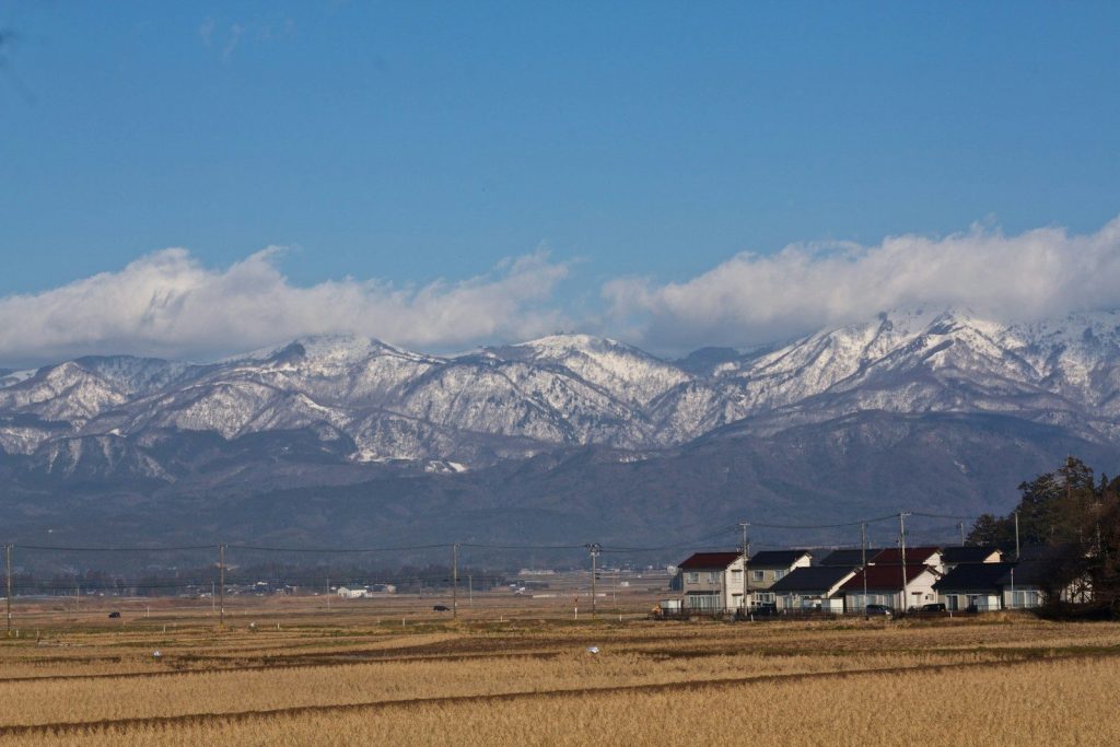 a field with houses and mountains in the background