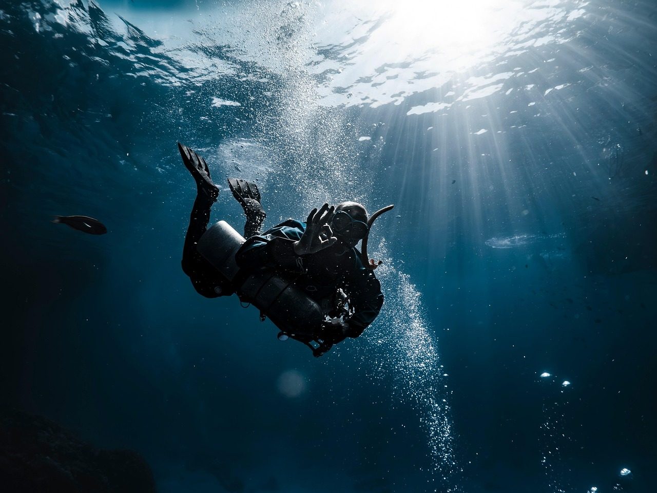 Scientists find thousands of living giant eggs inside an underwater volcano