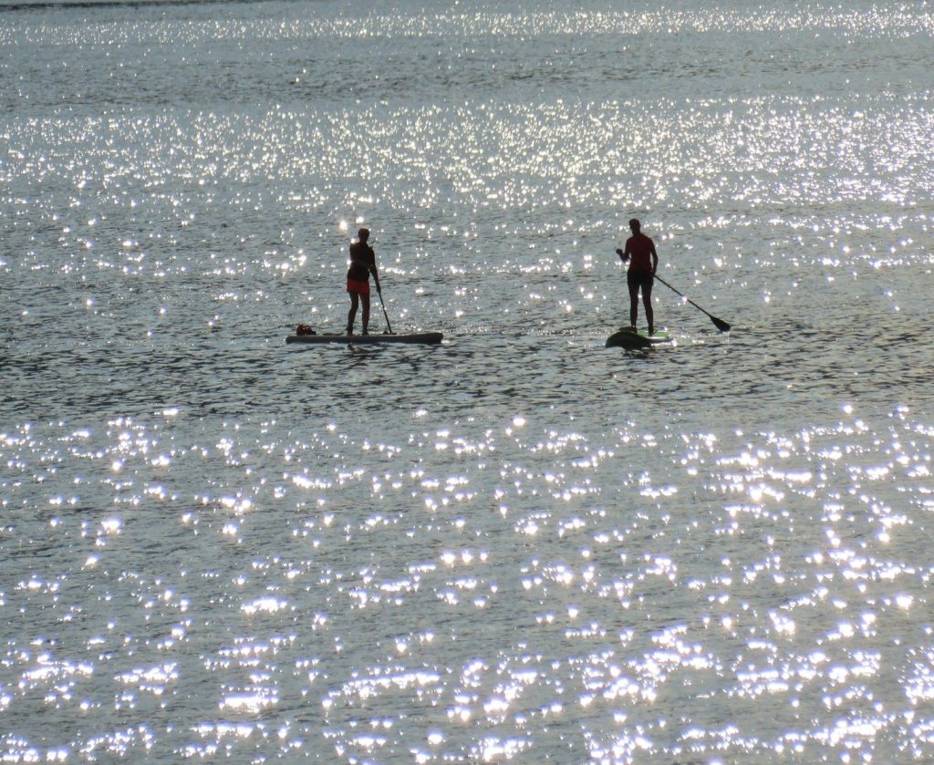 two people on paddle boards in the water