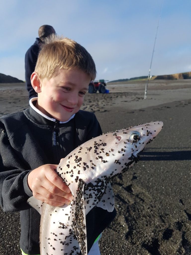 Young boy proudly holds small shark on beach