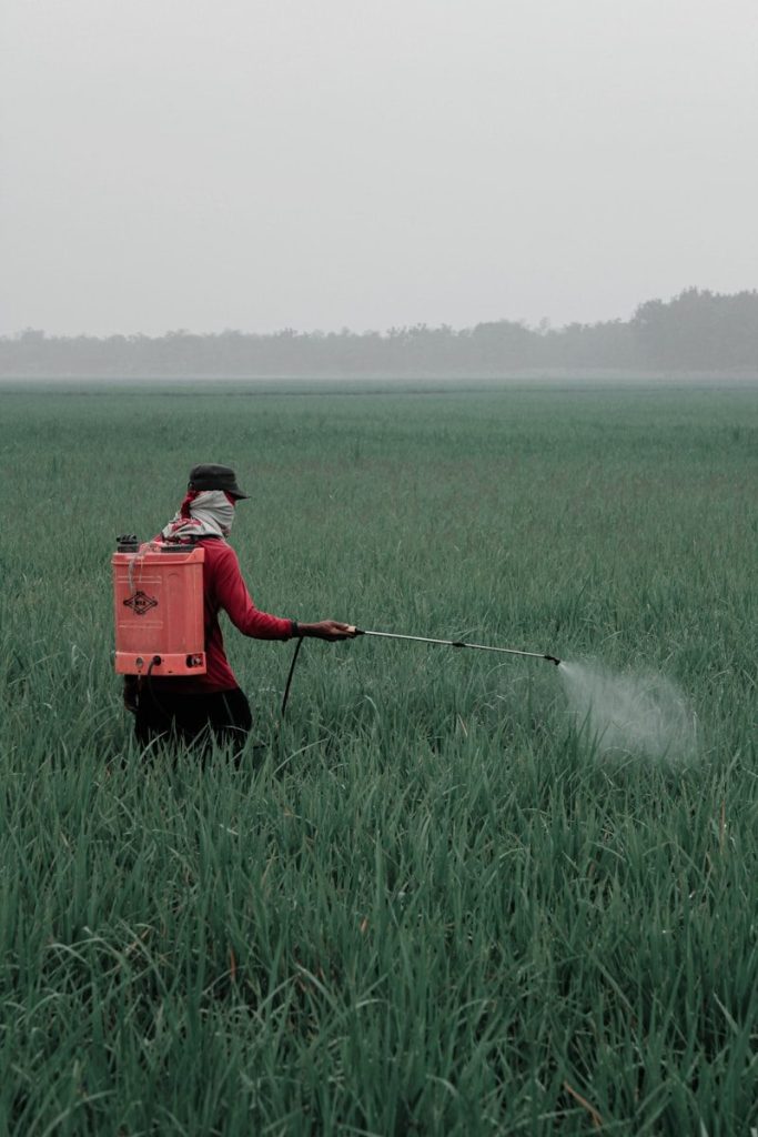 person in red shirt and black pants holding red box on green grass field during daytime