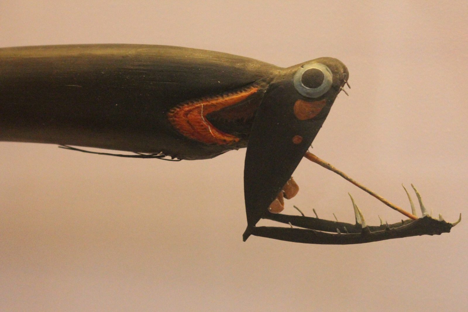 The glowing fish that can devour surprisingly large prey