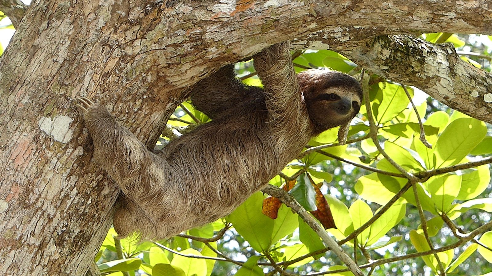 6 harmless-looking animals that can actually kill you
