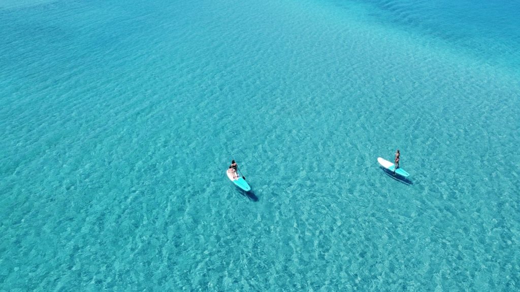 Two people on surfboards in the middle of the ocean