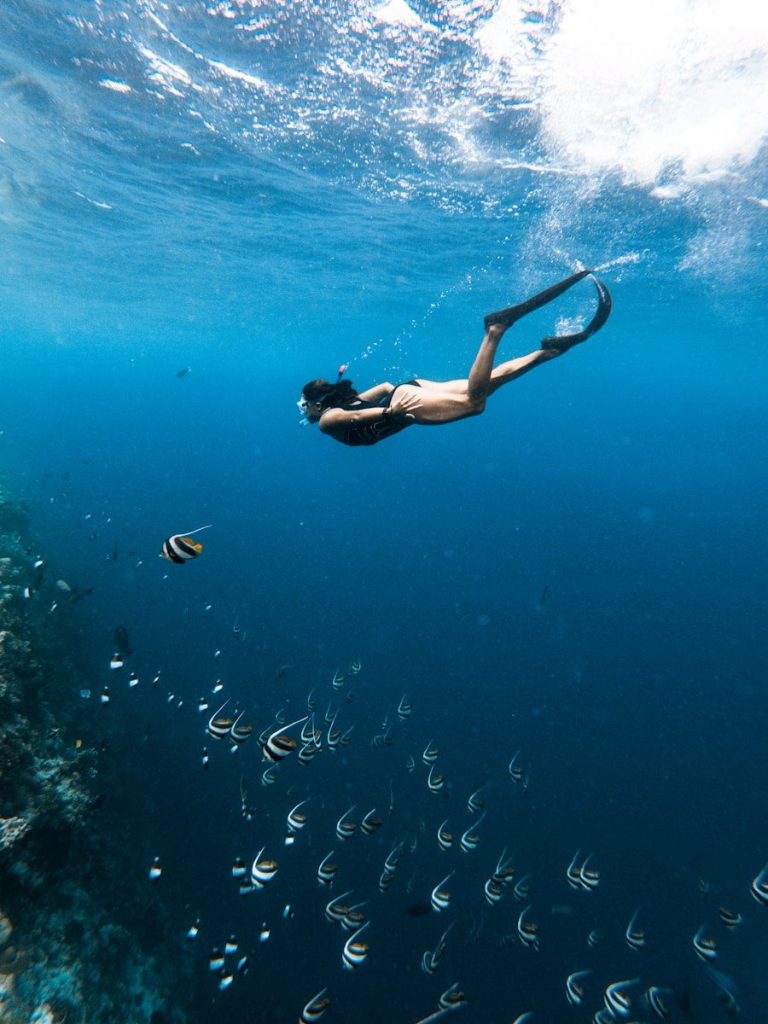 A woman snorkeling with a school of fish