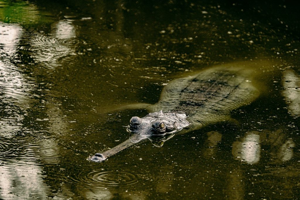 A bottle floating on top of a body of water