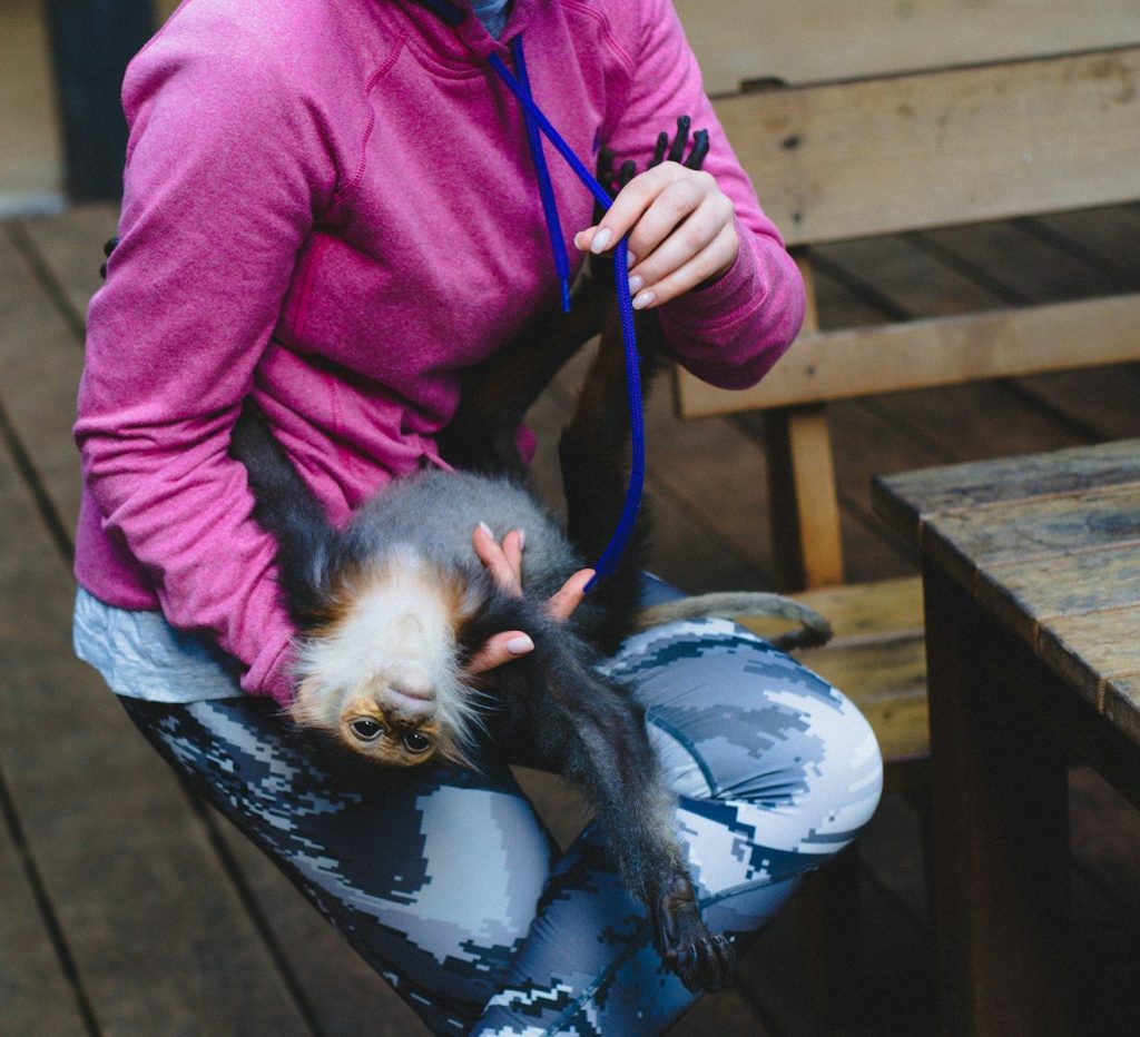 woman in pink jacket and blue denim jeans sitting on brown wooden bench
