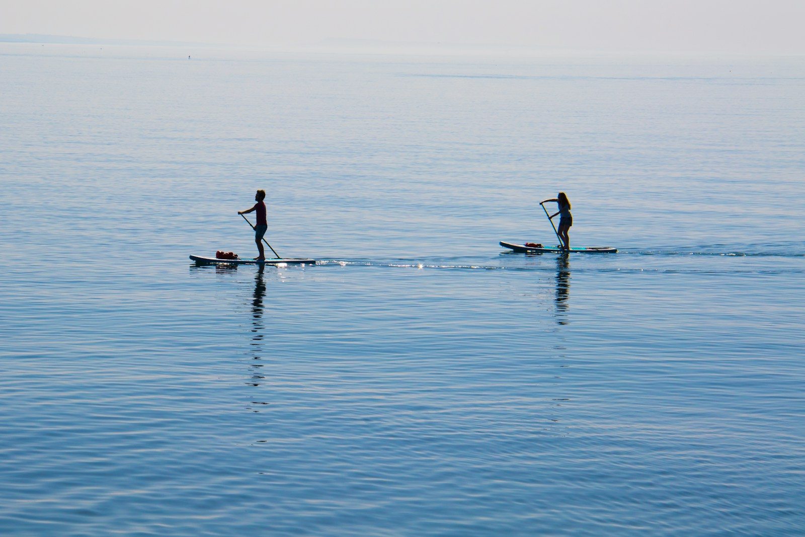 Paddleboarders are unaware of great white behind them