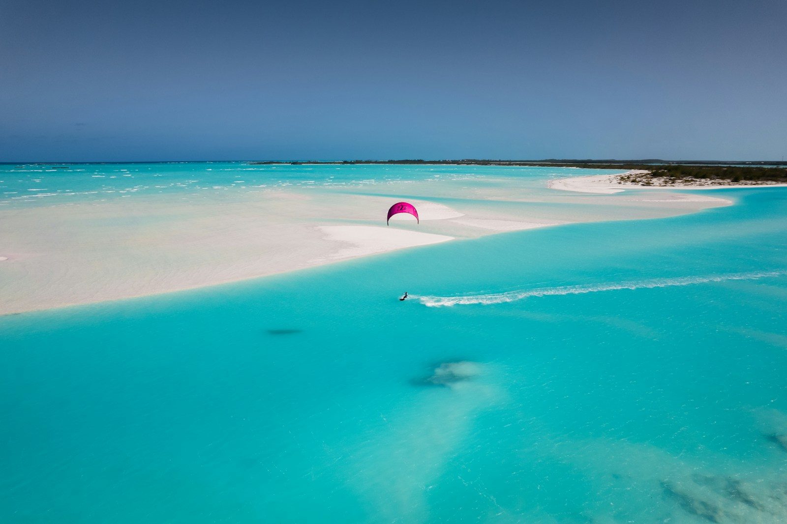 Scientists examine a troubling trend in Bahamas shark bites