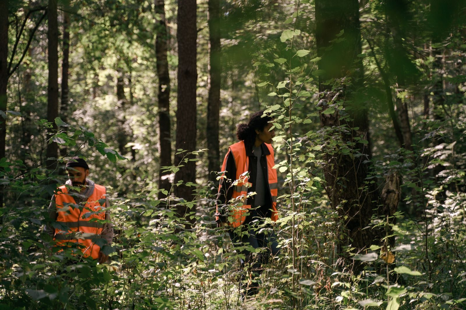 Rescuers locate injured animal after hearing cries in tall grass