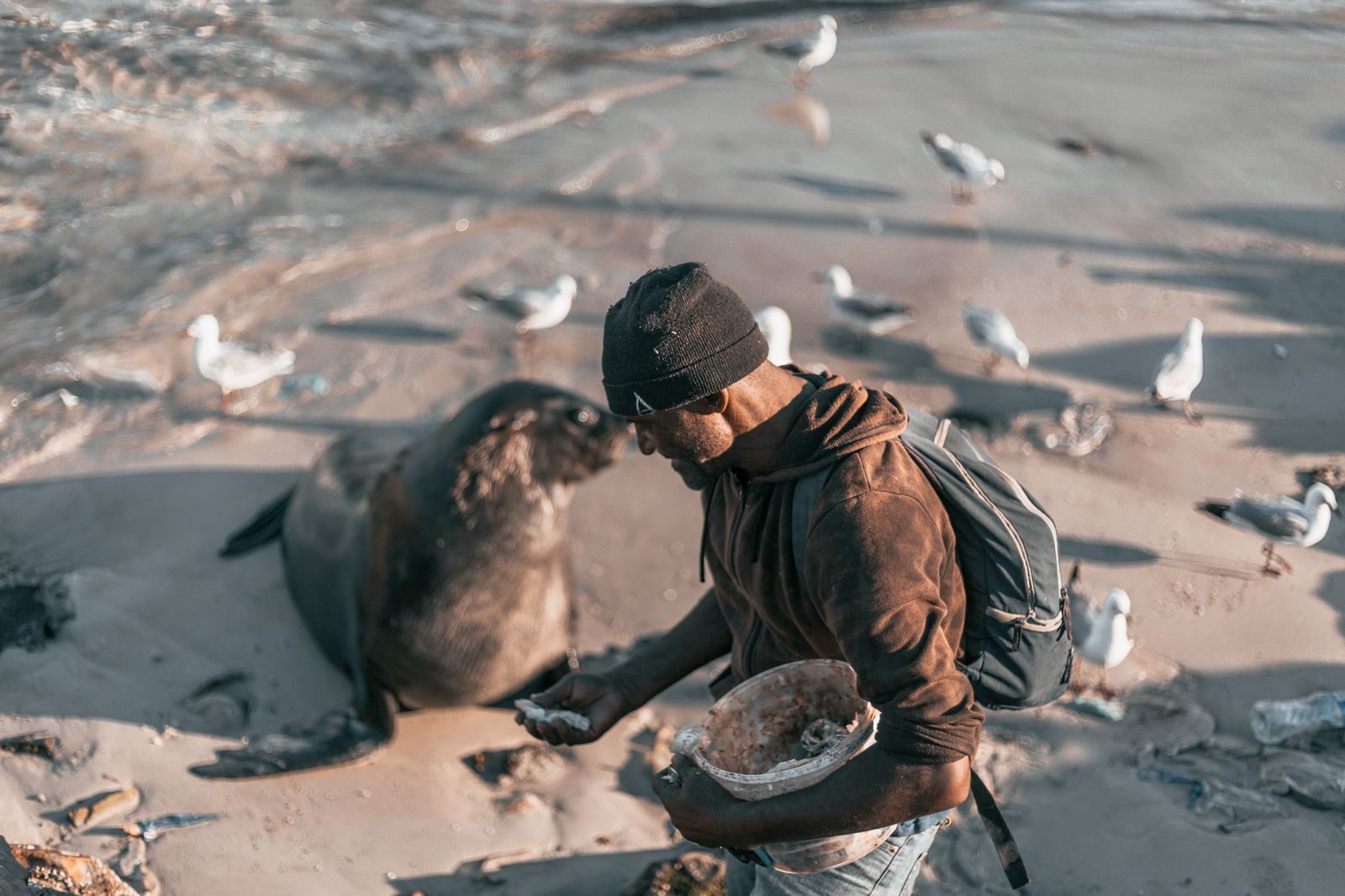A seal’s gentle interaction with a diver captured an unforgettable encounter