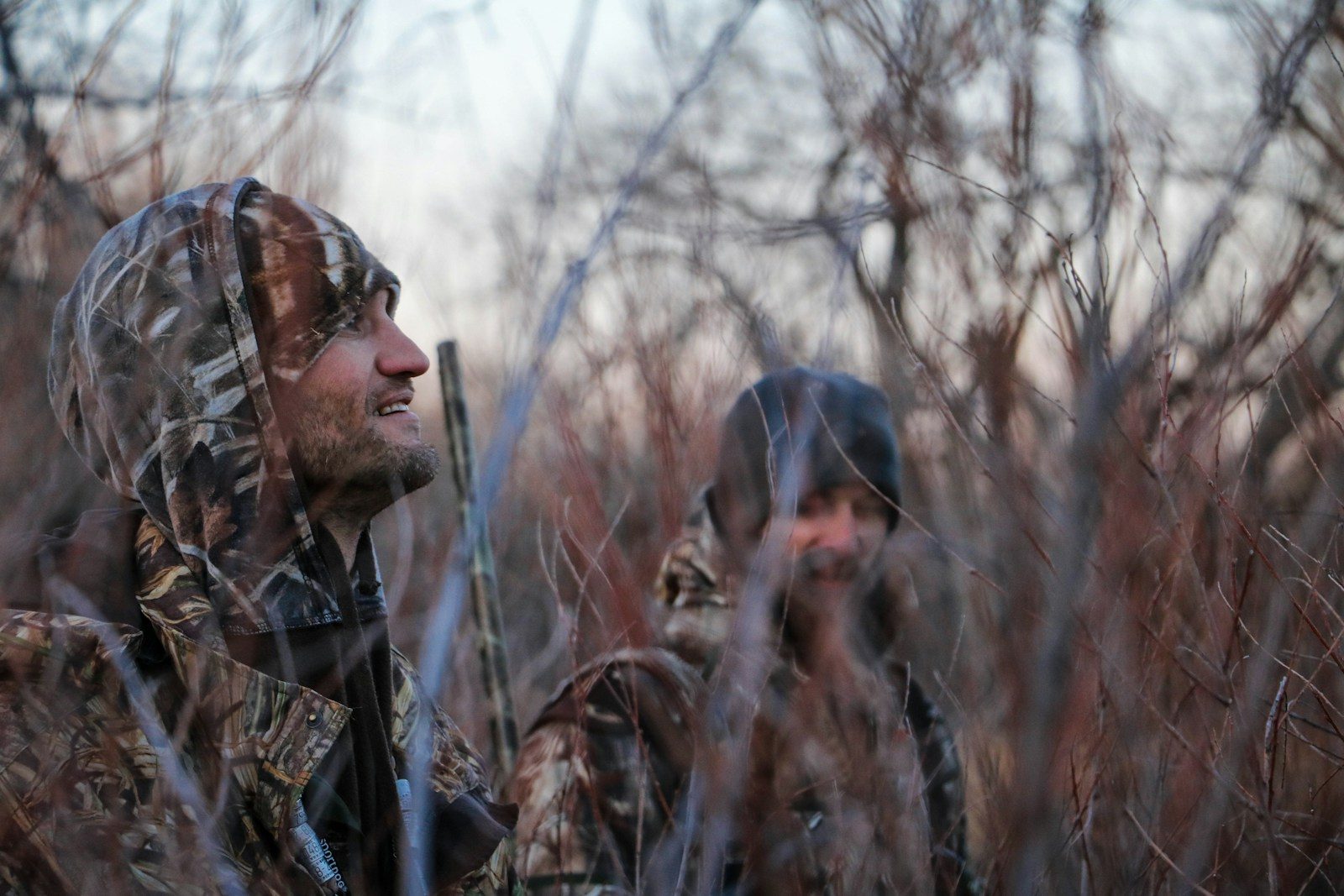 Scientists study the dangers predators face while hunting