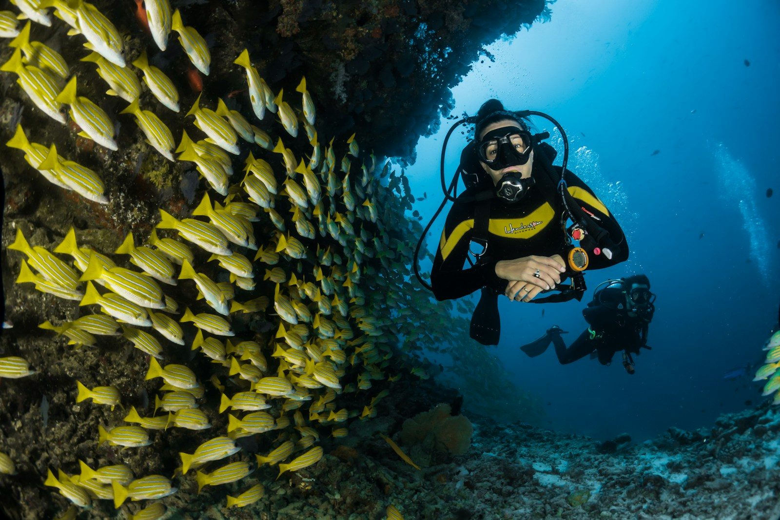 What researchers found over 31,000 feet below the Pacific Ocean surprised everyone