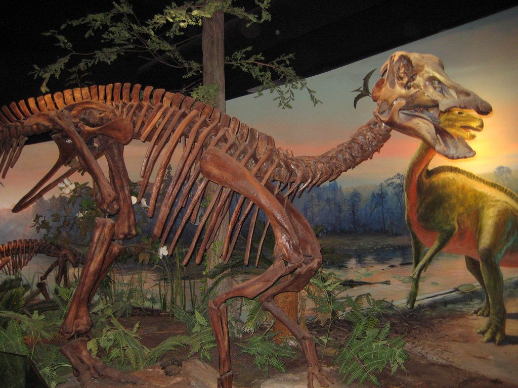 Dinosaur skull with T. rex tooth offers evidence of a close-range attack