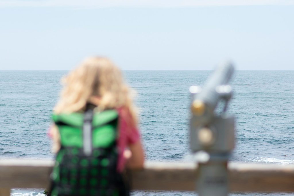 a woman looking at the ocean from a pier