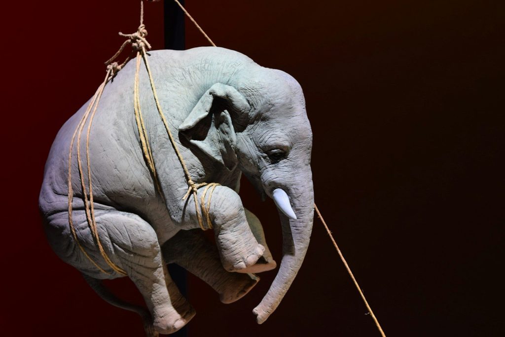grey elephant statue with brown rope