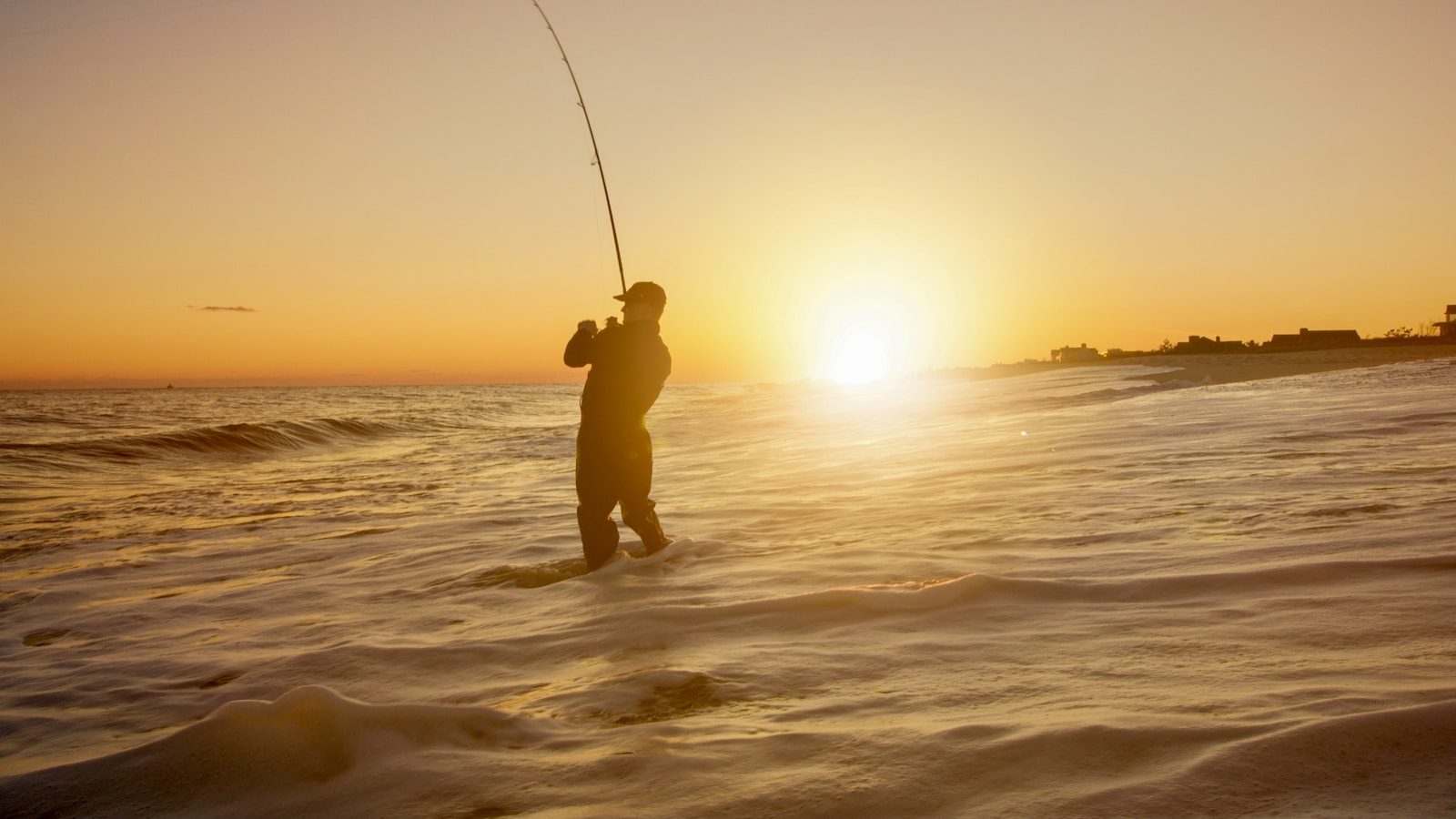 Angler helps exhausted smooth-hound return safely to the sea
