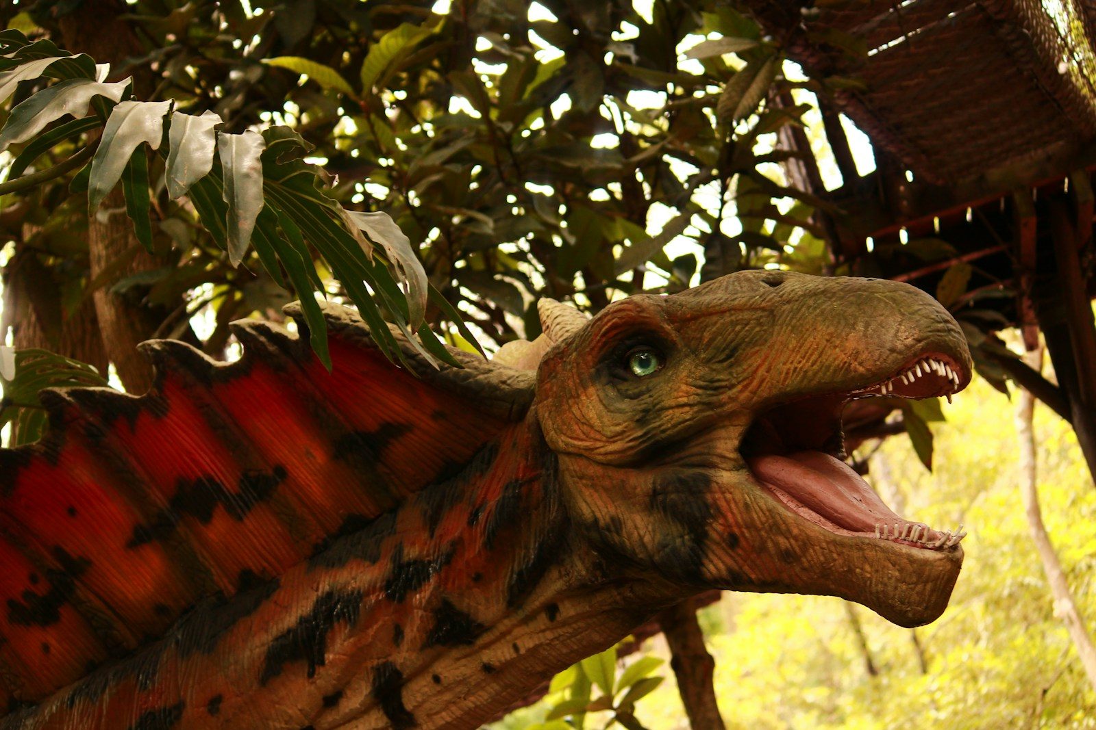 The astonishing new Spinosaurus fossil that looks like a real-life dragon