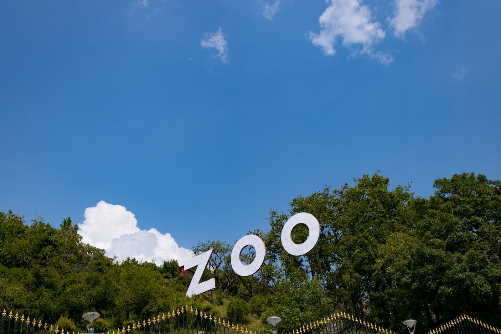 Visitor reports finding animals at abandoned zoo