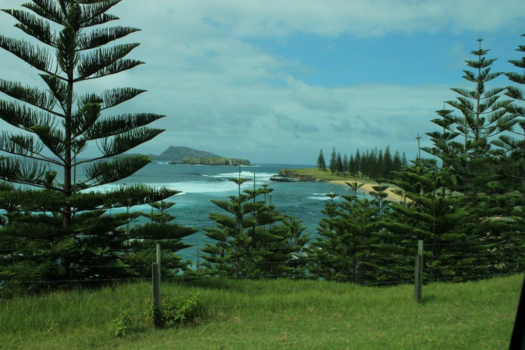 A scenic view of the ocean from a hill
