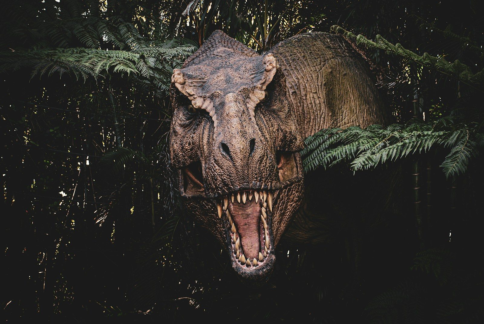 Rare T. rex discovered in South Dakota could break auction records before vanishing from public view