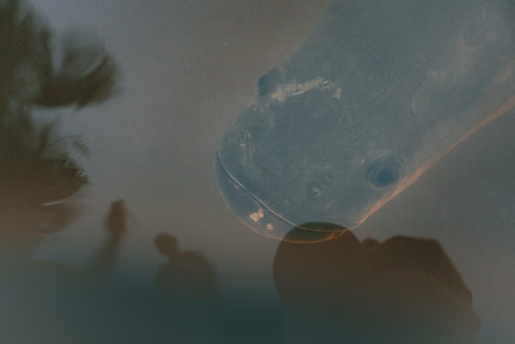 A blurry photo of a person holding a bottle