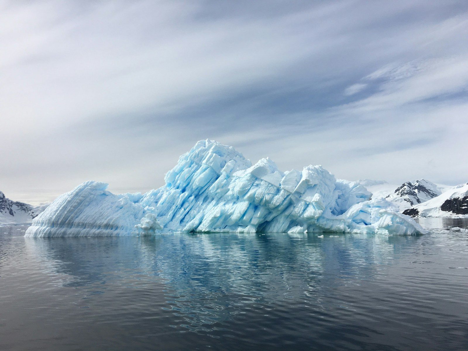 Robot discovers 60 million fish nests beneath Antarctic ice