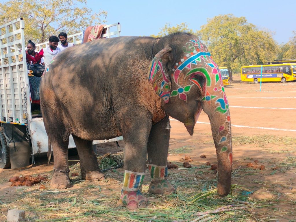 a large elephant standing next to a truck filled with people