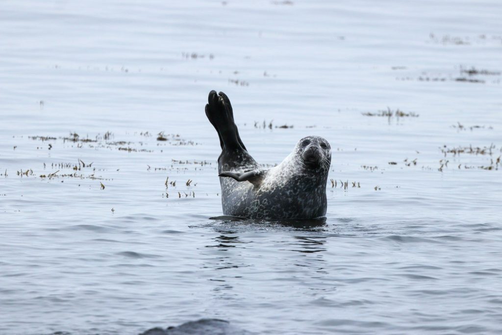 person in water during daytime