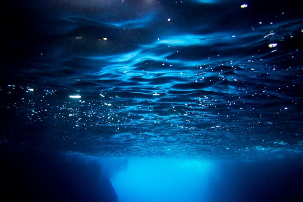 Underwater view with sunlight filtering through water.