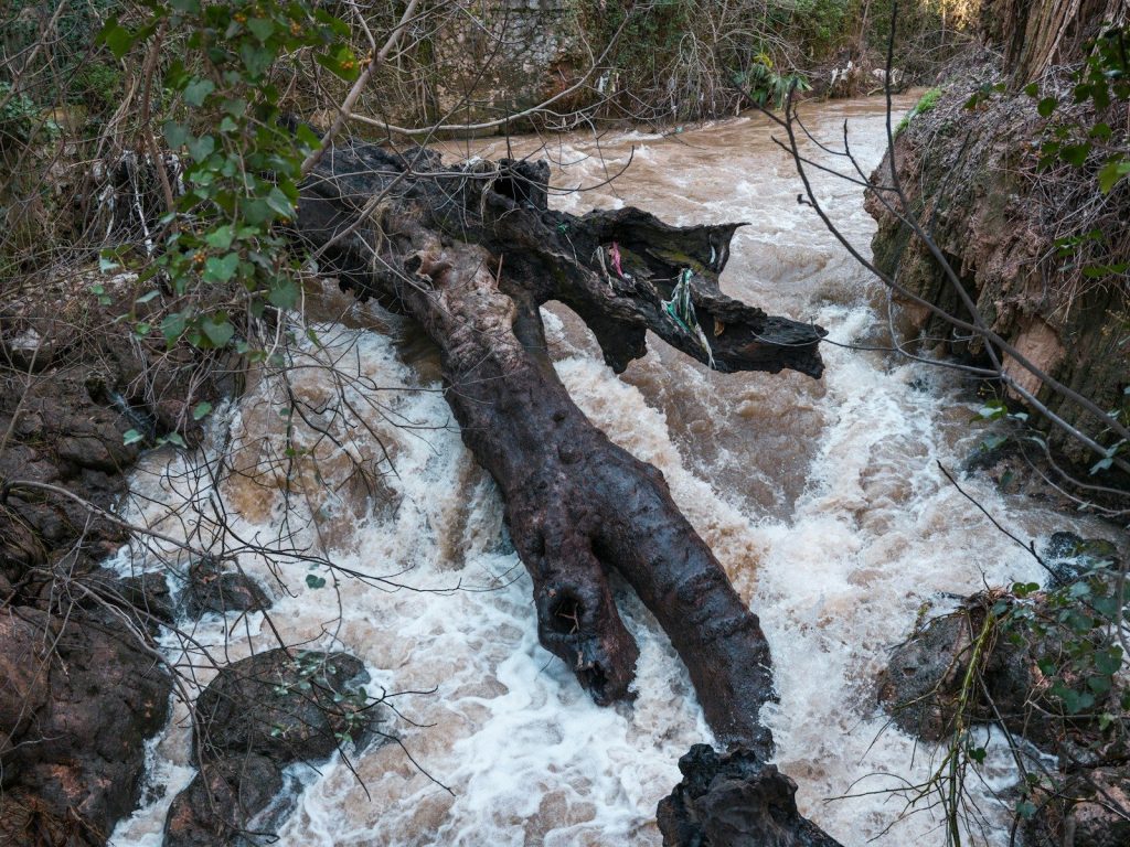 A fallen tree trunk lies across a flowing muddy stream.
