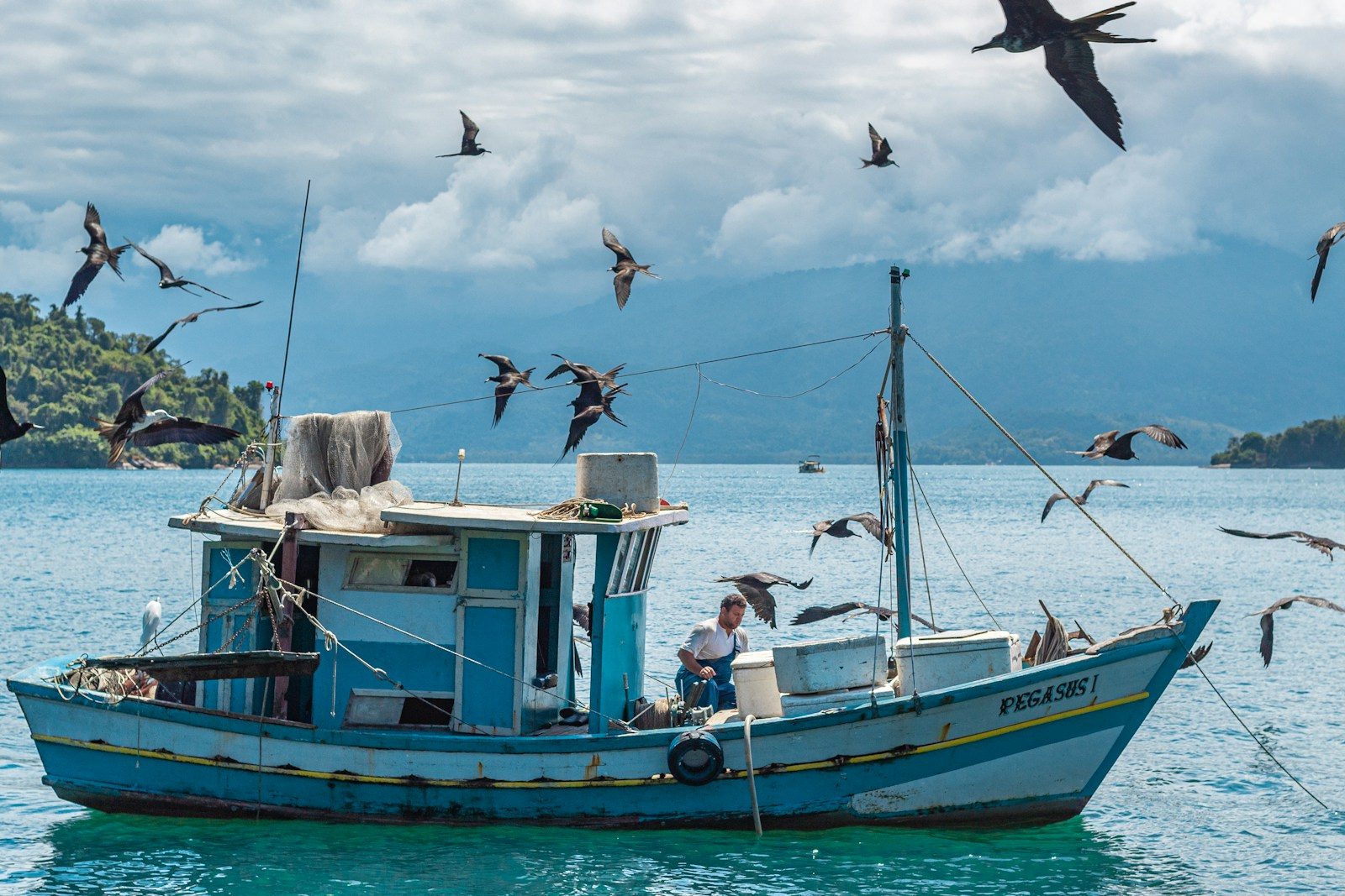 a fishing boat with seagulls flying around it